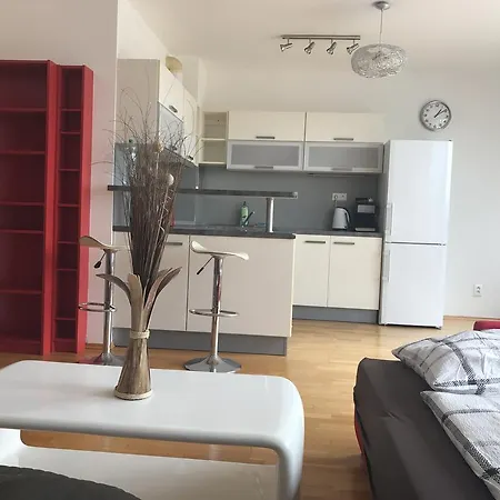 Apartment Studio With A Terace And View
